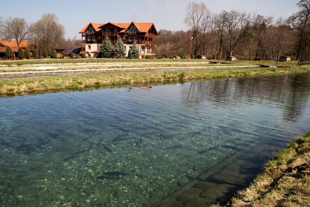 Complex Pastravaria Albota Arpaşu de Sus Exterior foto